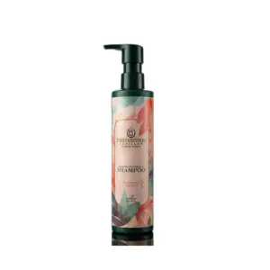 THREESIXFIVE 365 CAPILLUS SHAMPOO 300ML
